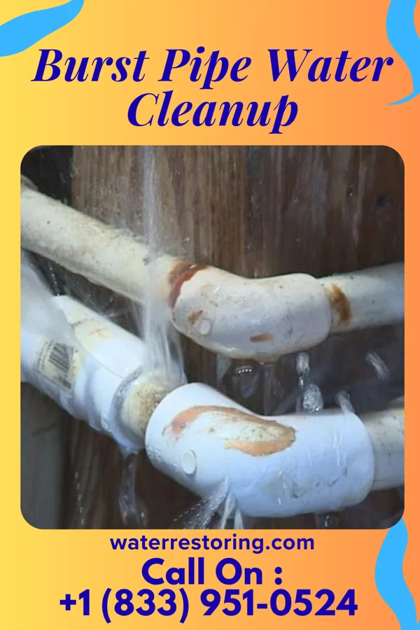 Burst Pipe Water Cleanup in Dunnstown, PA
