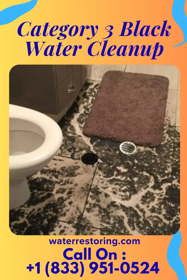 Category 3 Black Water Cleanup in Dunnstown, PA