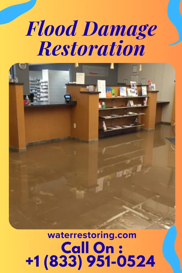 Flood Damage Restoration in Dunnstown, PA