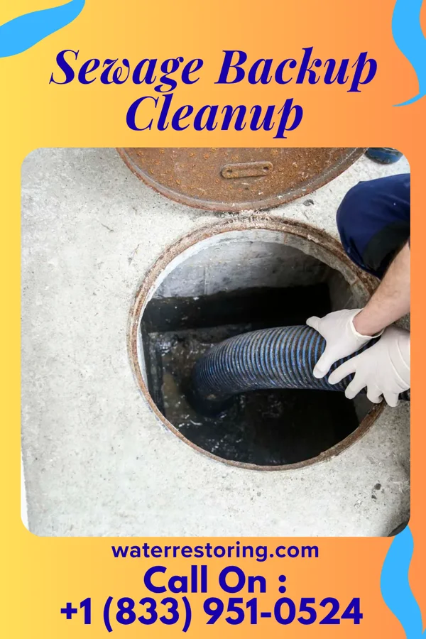 Sewage Backup Cleanup in Dunnstown, PA