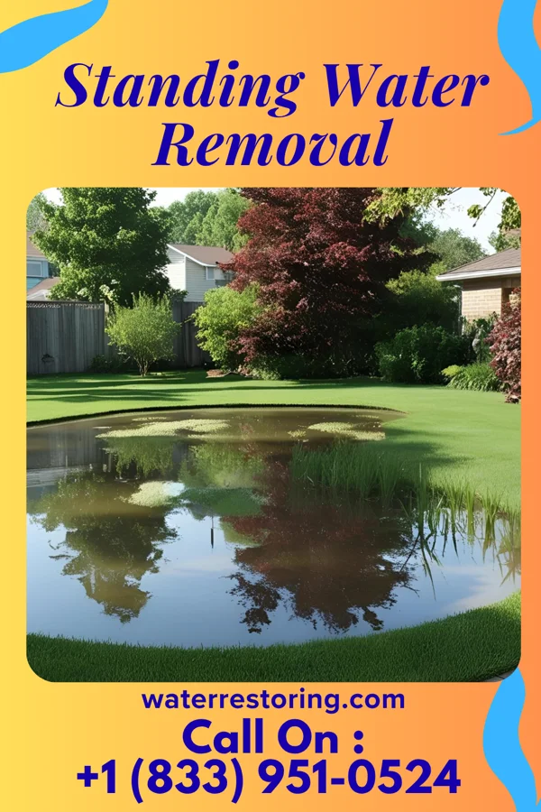 Standing Water Removal in Dunnstown, PA